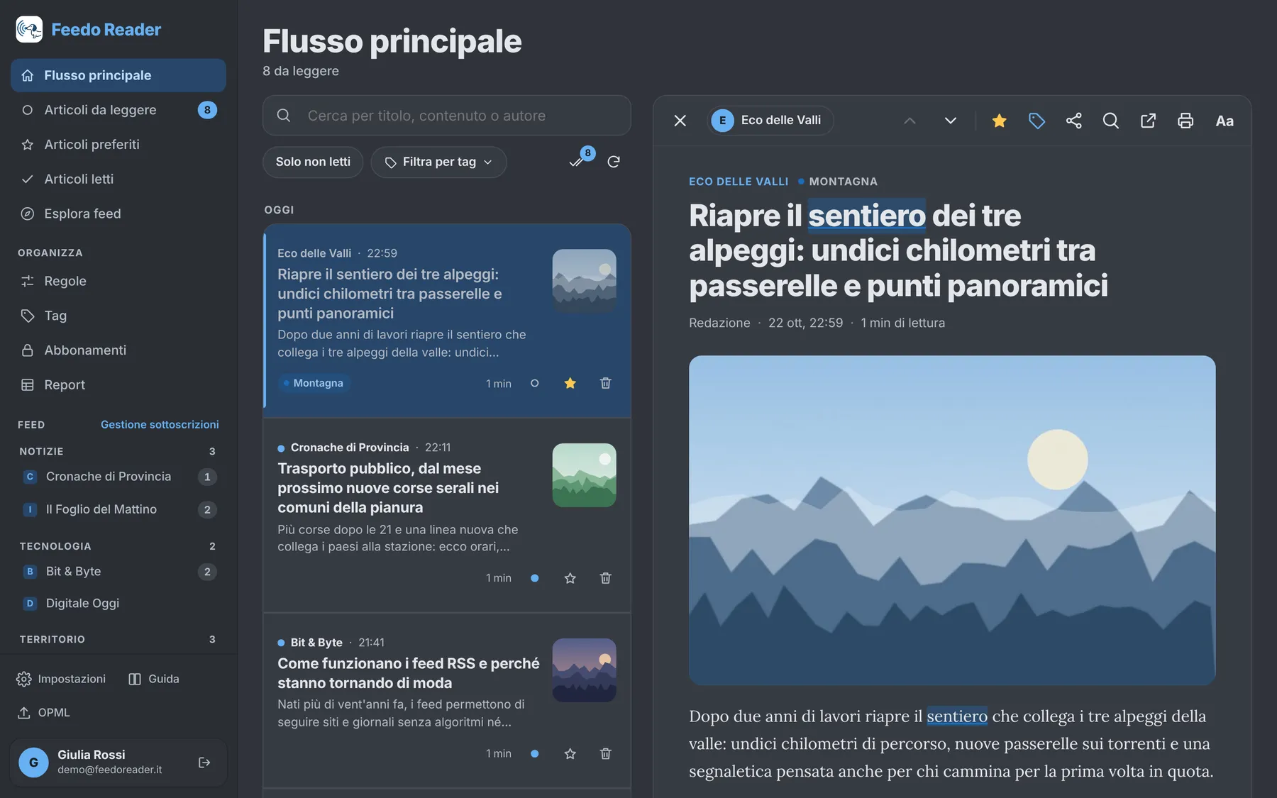 Feedo Reader su computer: a sinistra le fonti divise in cartelle, al centro la lista degli articoli, a destra l'articolo aperto nel lettore.